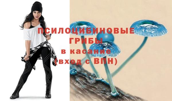 ешки Куйбышев