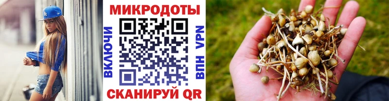 Псилоцибиновые грибы GOLDEN TEACHER  KRAKEN как зайти  Топки 