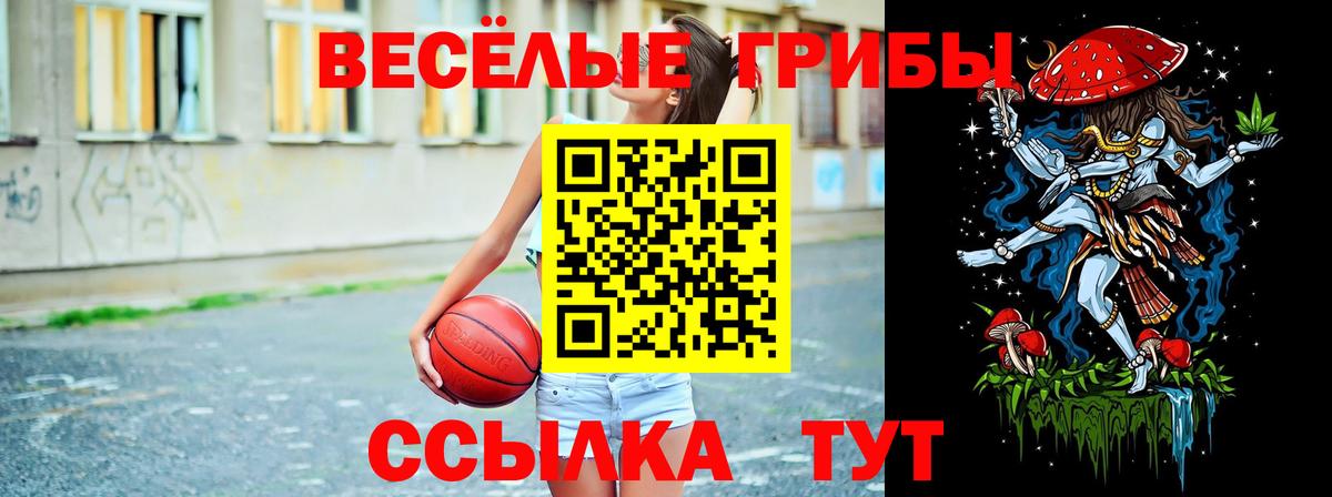 Галлюциногенные грибы мухоморы Топки