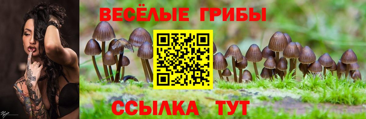 Галлюциногенные грибы Magic Shrooms Топки
