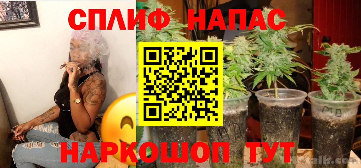 МАРИХУАНА гибрид Топки