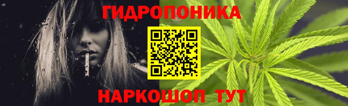 Каннабис OG Kush  Канабис тримм  Шишки марихуана план  Топки 